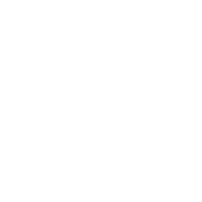 CO3 Logo White